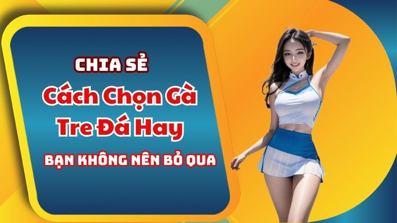 Chia Sẻ Cách Chọn Gà Tre Đá Hay Bạn Không Nên Bỏ Qua