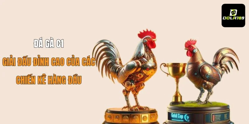 Đá Gà C1: Giải Đấu Đỉnh Cao Của Các Chiến Kê Hàng Đầu