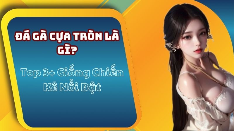 Đá Gà Cựa Tròn Là Gì? Top 3+ Giống Chiến Kê Nổi Bật