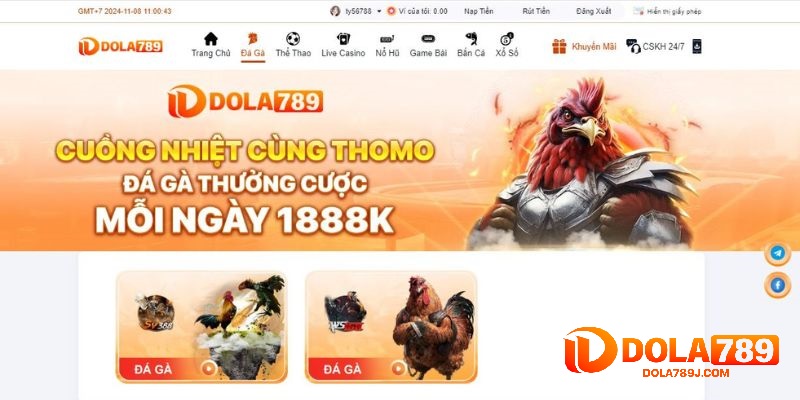 Dola789 hợp tác với WS168 và SV388 đem tới cho trải nghiệm đá gà chất lượng