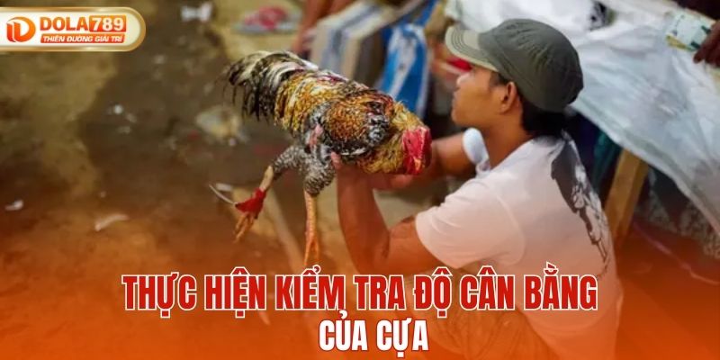 Thực hiện kiểm tra độ cân bằng của cựa