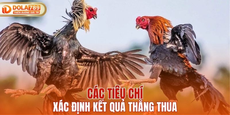 Tiêu chí xác định kết quả thắng thua cuối cùng