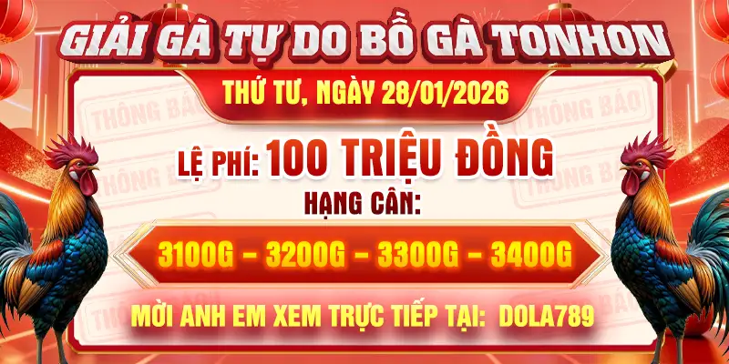 Giải Gà Tự Do Bồ Gà Tonhon Ngày 28/01/2026